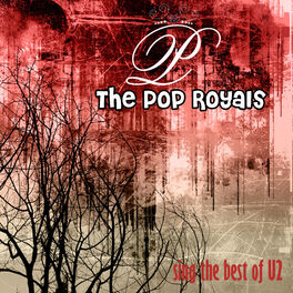 Album cover of Sing The Hits Of U2 (Original)