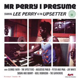 Album cover of Mr Perry I Presume