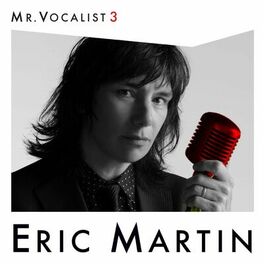 Album cover of MR. VOCALIST 3