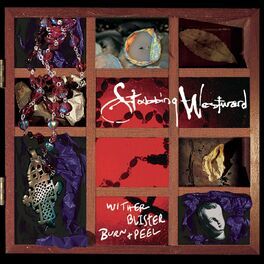 Album cover of Wither Blister Burn + Peel