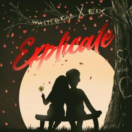Album cover of Explícale