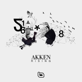 Album cover of Rising