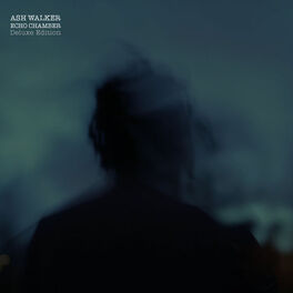 Album cover of Echo Chamber Deluxe