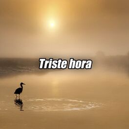 Album cover of Triste Hora