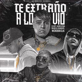 Album cover of Te Extraño a Lo Vio
