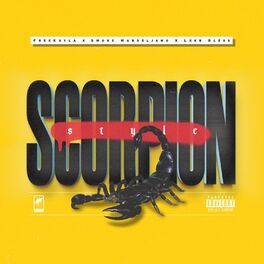 Album cover of Scorpion Style