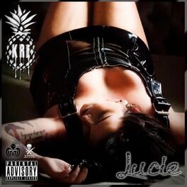 Album cover of Lucie