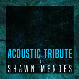 Album cover of Acoustic Tribute to Shawn Mendes (Instrumental)