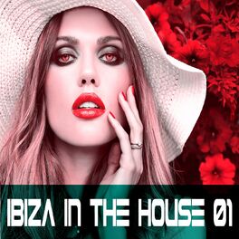 Album cover of Ibiza in the House 01