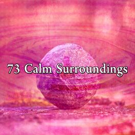 Album cover of 73 Calm Surroundings