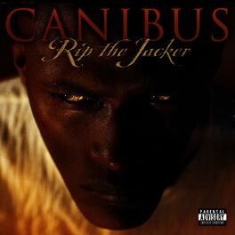 Album cover of Rip The Jacker
