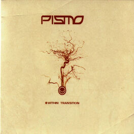 Album cover of Within Transition (Japan Edition)