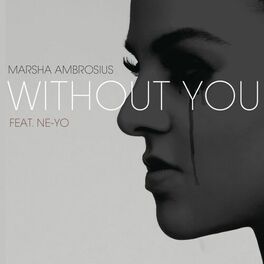 Album cover of Without You (feat. Ne-Yo)