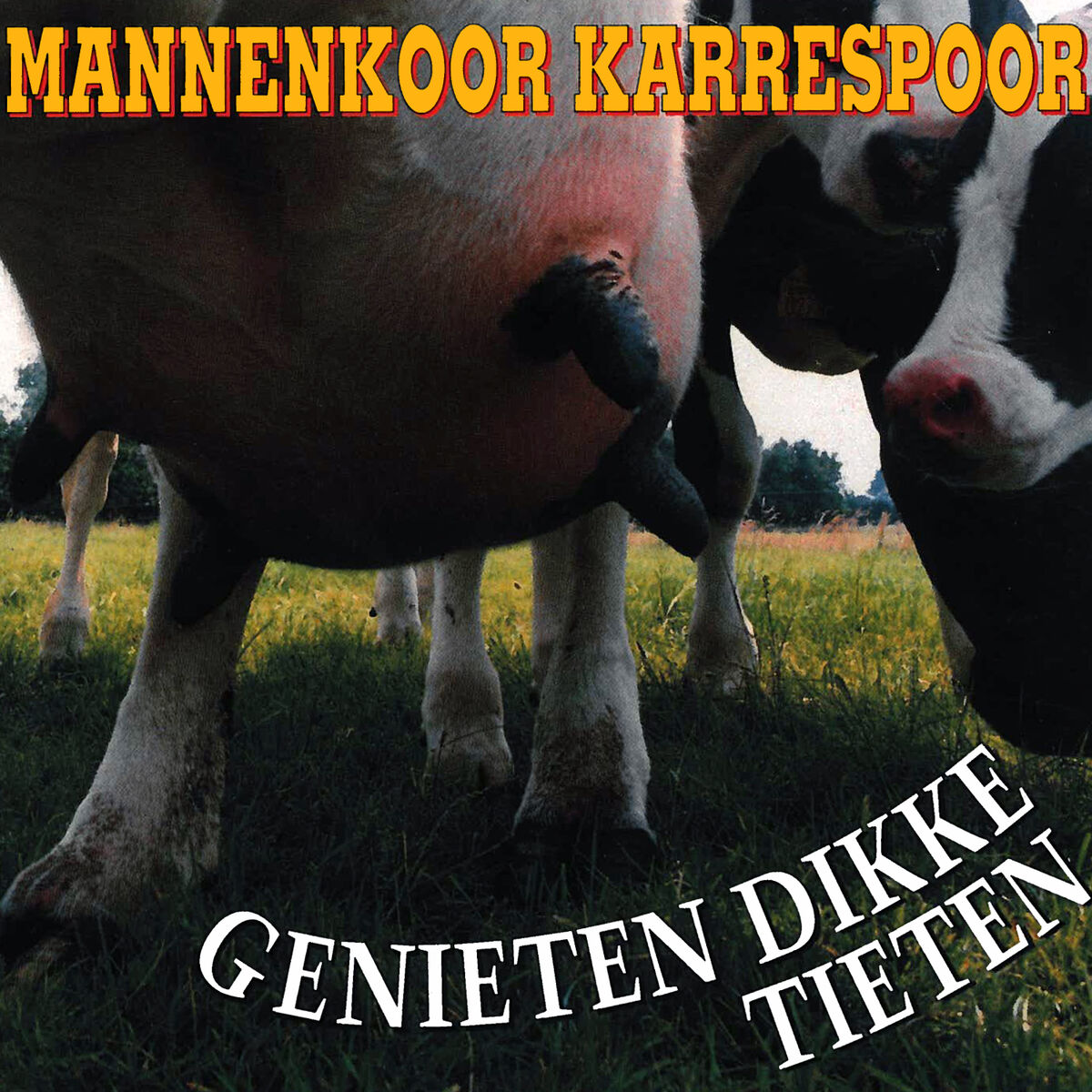 Mannenkoor Karrespoor - Genieten Van Dikke Tieten: lyrics and songs | Deezer