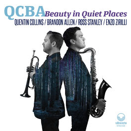 Album cover of Beauty in Quiet Places