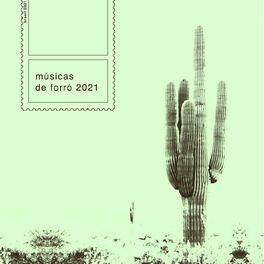 Album cover of Músicas de Forró 2021
