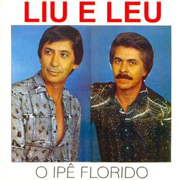Album cover of O Ipê Florido