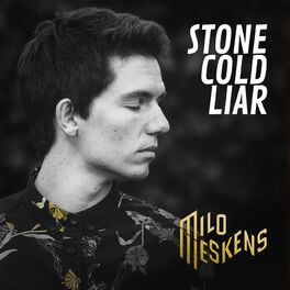 Album cover of Stone Cold Liar