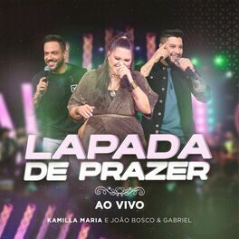 Album cover of Lapada de Prazer