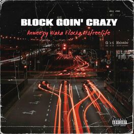 Album cover of Block Goin' Crazy