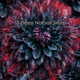 Album cover of 55 Deep Natural Sleep