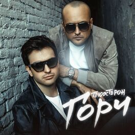 Album cover of Гори
