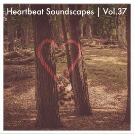 Album cover of Heartbeat Soundscapes, Vol. 37