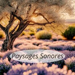 Album cover of Paysages sonores: Musiques relax avec sons de la nature pour méditer et ésprit calme
