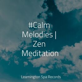 Album cover of #Calm Melodies | Zen Meditation