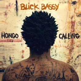 Album cover of Hongo Calling