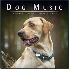 Album cover of Dog Music: Relaxing Sleeping Guitar Dog and Pet Music