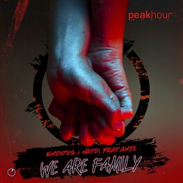 Album cover of We Are Family (feat AXYL)