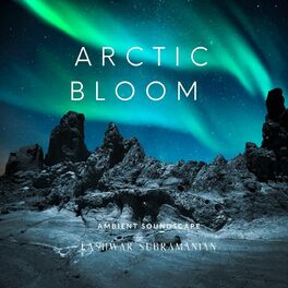 Album cover of Arctic Bloom