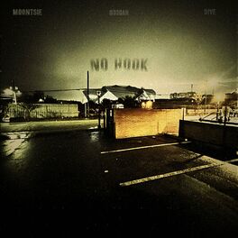 Album cover of No Hook (feat. 5ive & Moontsie)