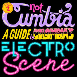 Album cover of Not Cumbia: A Guide To Colombia's Electro Scene, Vol. 2