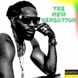 Album cover of The New Sensation