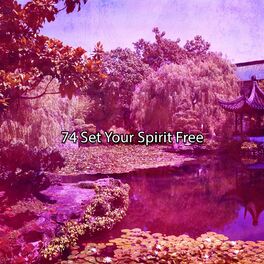 Album cover of 74 Set Your Spirit Free