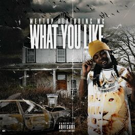 Album cover of What You Like