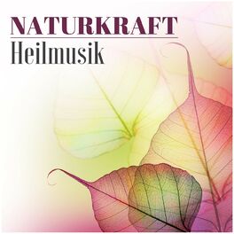 Album cover of Naturkraft Heilmusik - Geistiges Heilen durch New Age Reiki Musik und Zen Naturgeräusche
