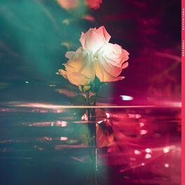 Album cover of Forever