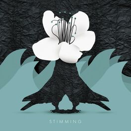 Album cover of Stimming