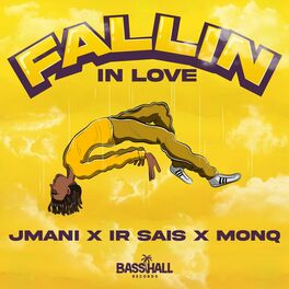 Album cover of Fallin in Love