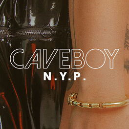 Album cover of N.Y.P.