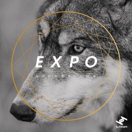 Album cover of Expo
