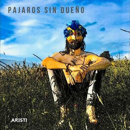 Album cover of Pájaros Sin Dueño