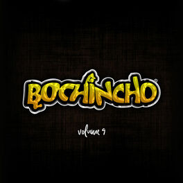 Album cover of Bochincho, Vol. 9 (Ao Vivo)