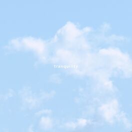 Album cover of tranquility
