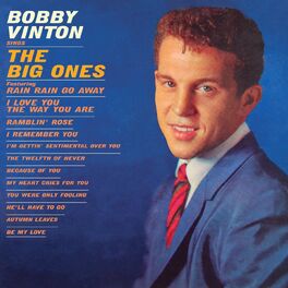 Album cover of Sings The Big Ones