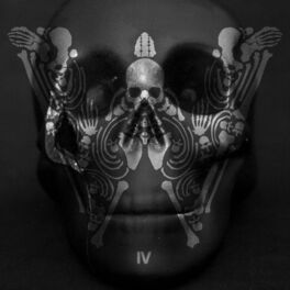 Album cover of IV