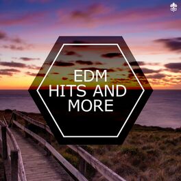 Album cover of EDM Hits and More